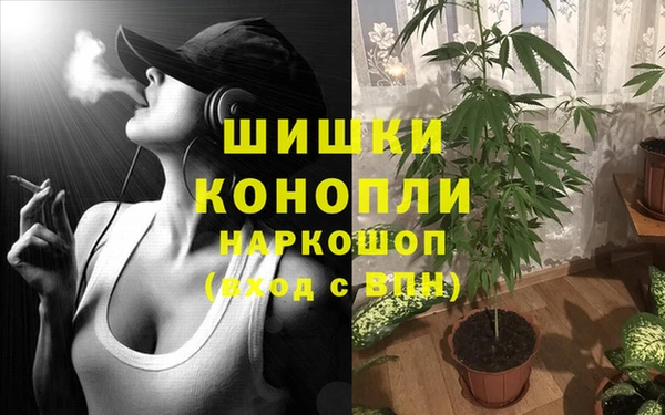 спиды Абинск