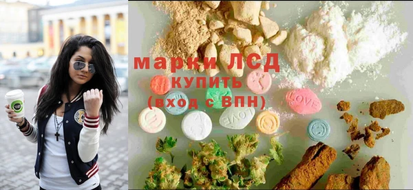 PSILOCYBIN Алзамай