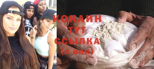 бошки Алексин