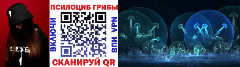 Псилоцибиновые грибы Psilocybine cubensis  Димитровград 